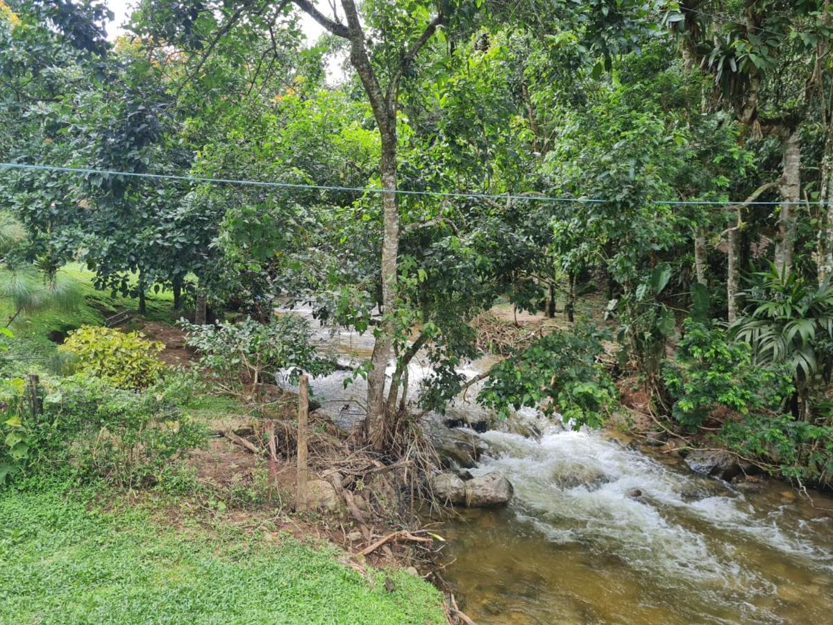 Chalé rústico truta dá floresta 3 Visconde de Mauá Exterior foto